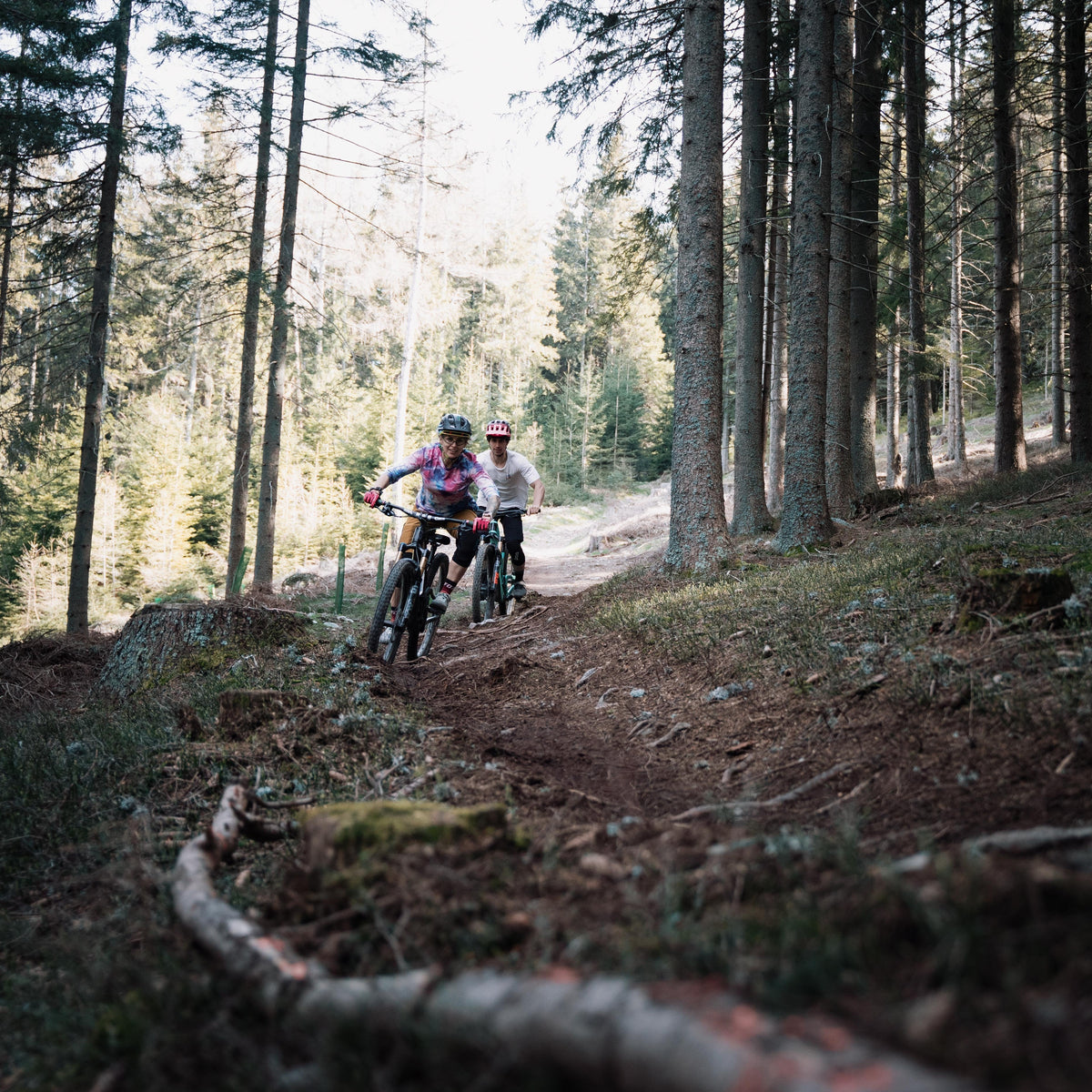 Bike Set-Up inkl. Rideout β Webshop Wexl Arena